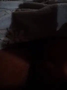 ratoncito 3 online show from 26, 4, 2026