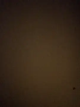 Snapshot of BigD1ckDan86 chatting on 7, 1, 2026 BigD1ckDan86 online show from 7, 1, 2026