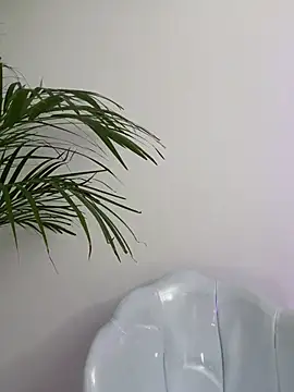 Ariana2017 online show from 6, 2, 2026