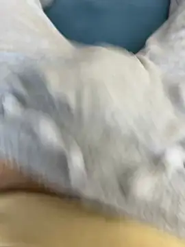 Frankieyyy1 online show from 15, 3, 2026