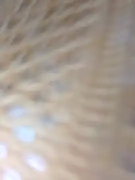 Monika Telugu Girl online show from 9, 9, 2025