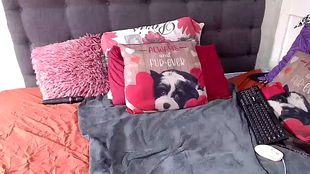 chockclitx5 online show from 2, 3, 2026