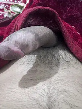 Snapshot of Abodi12aa77 chatting on 5, 10, 2025 Abodi12aa77 online show from 5, 10, 2025