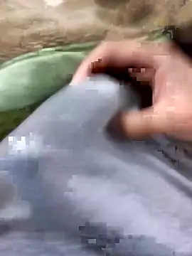 Snapshot of Abodi12aa77 chatting on 1, 3, 2026 Abodi12aa77 online show from 1, 3, 2026