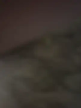 gigoloboymumbai00 online show from 23, 10, 2025