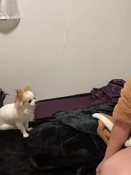 Snapshot of h415a812 chatting on 4, 11, 2025 h415a812 online show from 4, 11, 2025