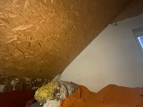 Salon1986 online show from 8, 10, 2025