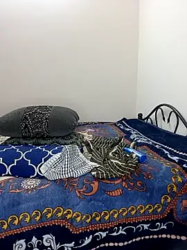 Chadni kannada online show from 28, 2, 2026