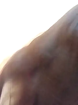 Payal-001 online show from 17, 10, 2025