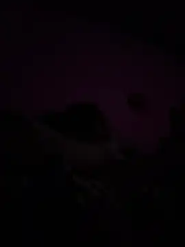 Snapshot of RandalHot chatting on 9, 4, 2026 RandalHot online show from 9, 4, 2026