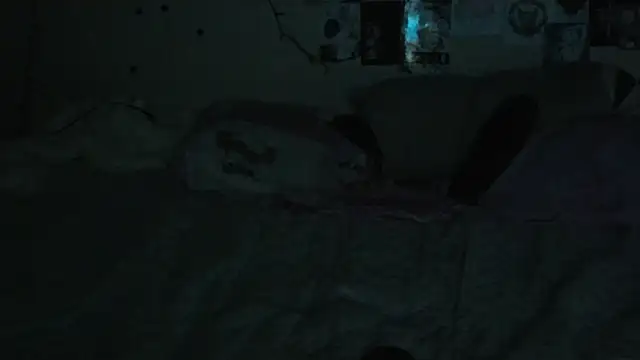 FairyFennec online show from 8, 10, 2025