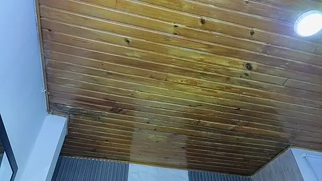 Bonnali lune online show from 19, 4, 2026