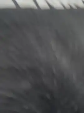 JuanitaMore01 online show from 21, 2, 2026