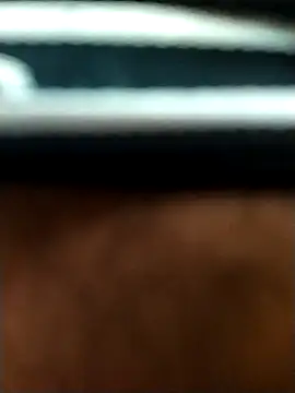 Snapshot of 8inches_DelhiBOY chatting on 5, 11, 2025 8inches DelhiBOY online show from 5, 11, 2025