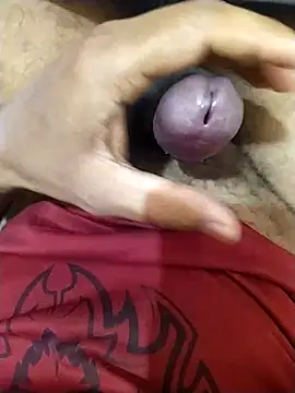 Snapshot of 8inches_DelhiBOY chatting on 26, 11, 2025 8inches DelhiBOY online show from 26, 11, 2025