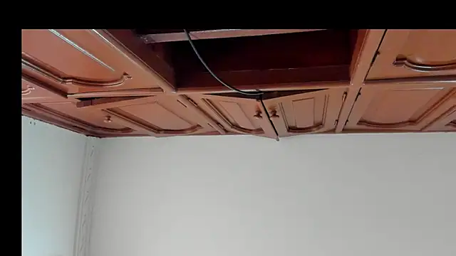 alice  brow online show from 8, 10, 2025