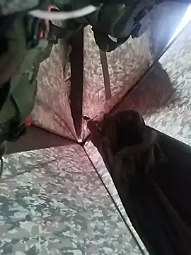 Snapshot of Alabestia12 chatting on 5, 11, 2025 Alabestia12 online show from 5, 11, 2025