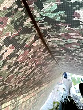 Snapshot of Alabestia12 chatting on 11, 11, 2025 Alabestia12 online show from 11, 11, 2025