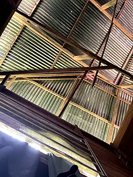 Snapshot of Alabestia12 chatting on 5, 12, 2025 Alabestia12 online show from 5, 12, 2025