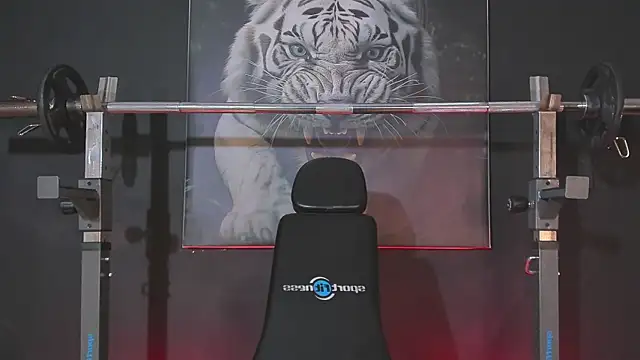 DimitriDeluxe online show from 3, 12, 2025