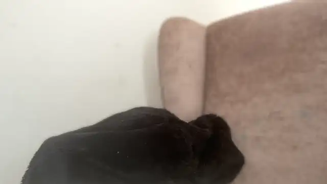 Curvysapphire online show from 20, 4, 2026