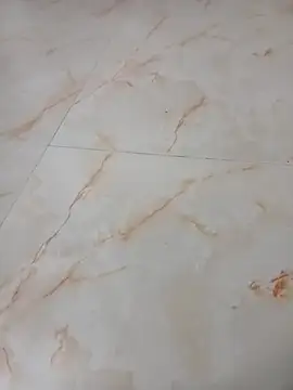 Samantaapu online show from 16, 11, 2025