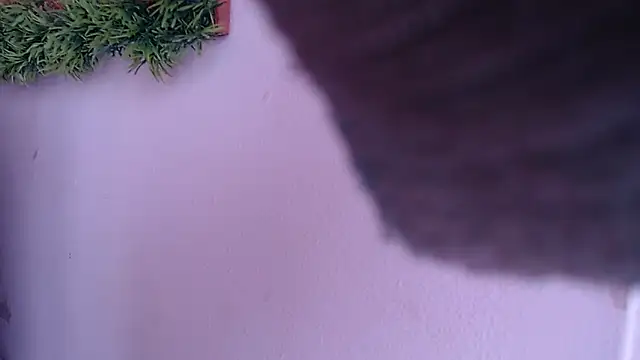 IVONNE COLLINS33 online show from 24, 9, 2025