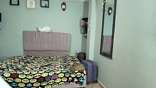 Snapshot of MiSofialeal chatting on 11, 7, 2026 MiSofialeal online show from 11, 7, 2026