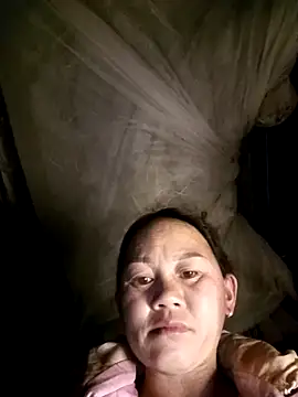 MaiHoa69 online show from 11, 2, 2026