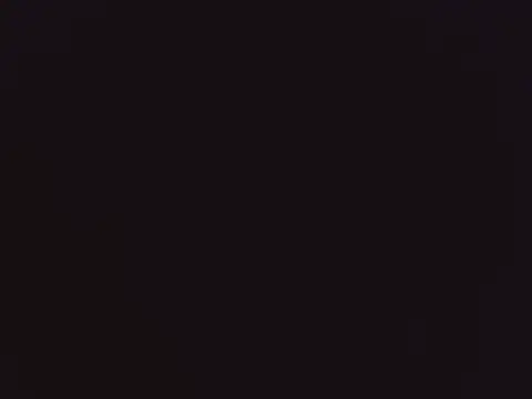 Hydtelegu online show from 12, 4, 2026