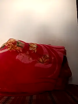 PlushOrnament93 online show from 17, 2, 2026