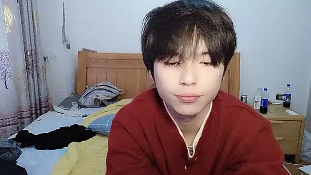 w5206t online show from 24, 11, 2025