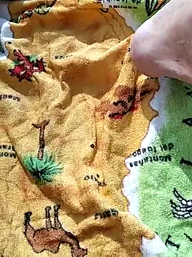 pegaso369 online show from 27, 2, 2026