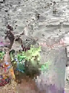 Snapshot of pegaso369 chatting on 16, 6, 2026 pegaso369 online show from 16, 6, 2026