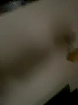 succy33 online show from 15, 10, 2025