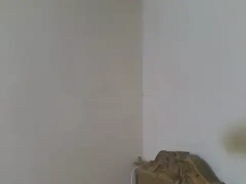 elpoop7305 online show from 19, 7, 2026