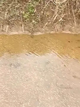 Snapshot of CoMay003 chatting on 12, 3, 2026 CoMay003 online show from 12, 3, 2026