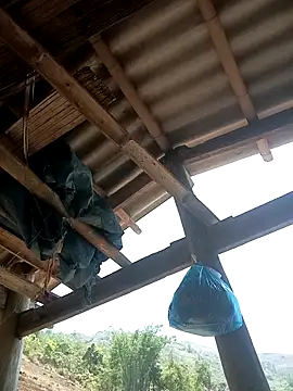 Snapshot of CoMay003 chatting on 12, 4, 2026 CoMay003 online show from 12, 4, 2026