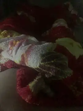 gaabpxn online show from 11, 4, 2026