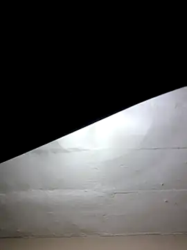 Snapshot of mileesha chatting on 17, 1, 2026 mileesha online show from 17, 1, 2026