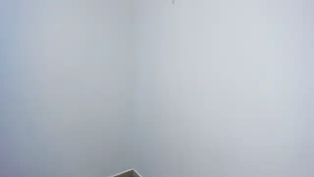 stephane rouss online show from 18, 11, 2025