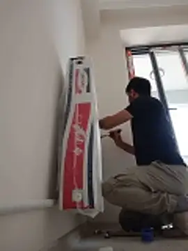 alex10alexx online show from 20, 5, 2026