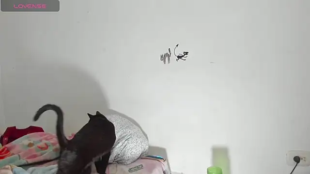 Raven Rouge  online show from 26, 9, 2025