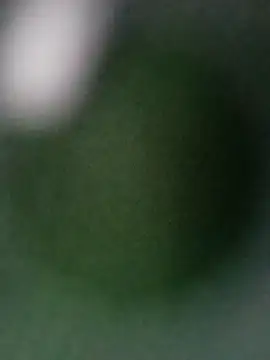 Punam ji online show from 28, 10, 2025