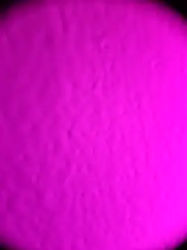 Snapshot of Michou02xXx chatting on 18, 2, 2026 Michou02xXx online show from 18, 2, 2026