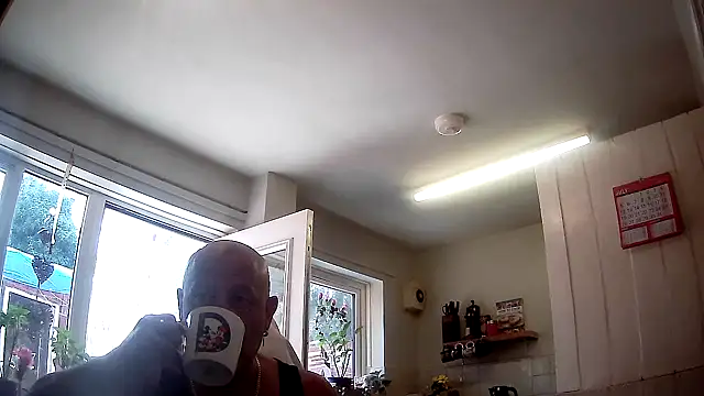 playfulchell online show from 17, 7, 2026
