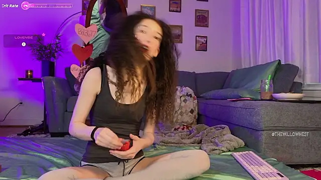 thewillownest  online show from 6, 2, 2026