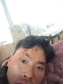 LongPhan003 online show from 29, 7, 2026