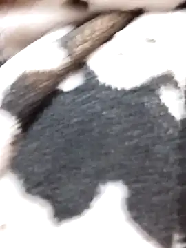 Laxmi 89 online show from 27, 11, 2025