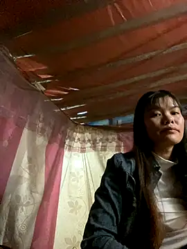 PhanHaa online show from 6, 11, 2025